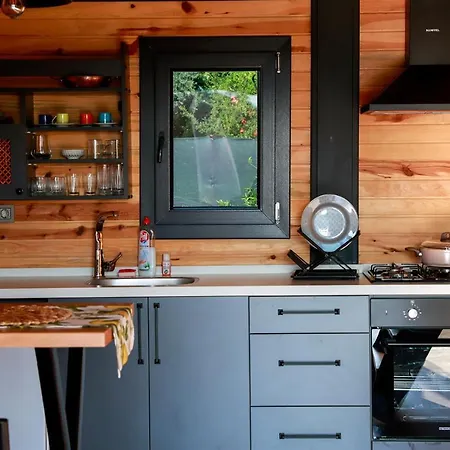 Karayel Koycegiz Vilă *