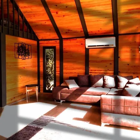 Karayel Koycegiz Villa Mugla