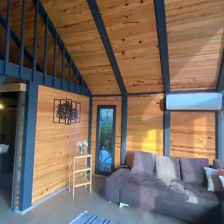 Vilă Karayel Koycegiz *